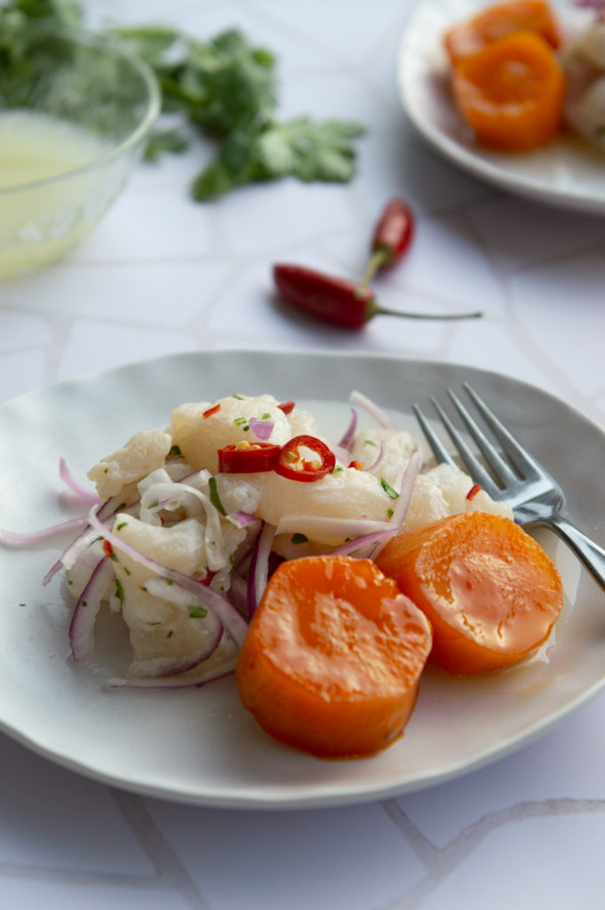 Peruvian Ceviche Close up